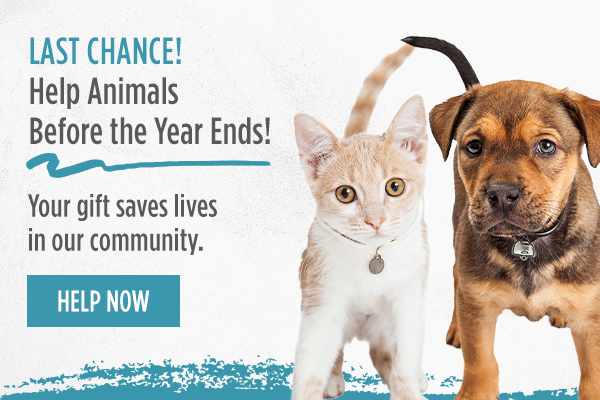 Last Chance! Help Animals Before the Year Ends! Your gift saves lives in our community.