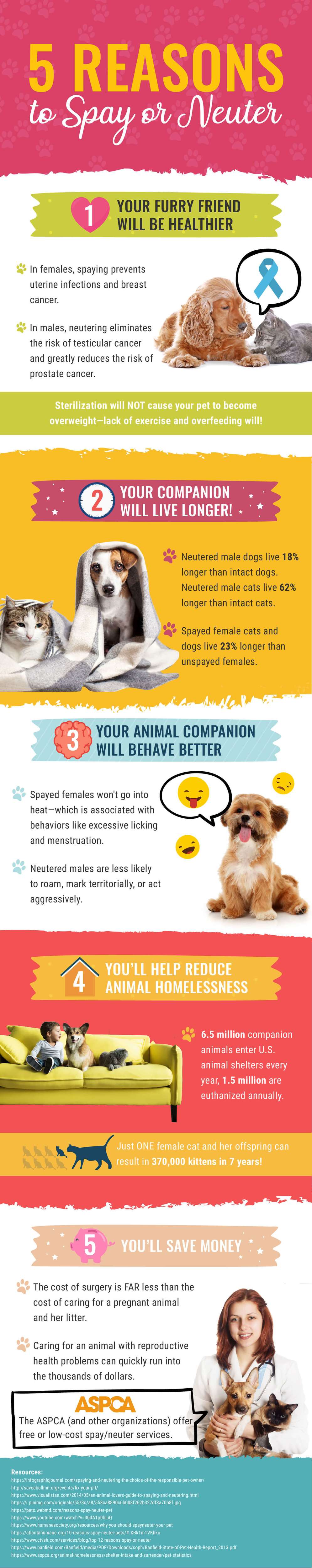 should you get your dog neutered