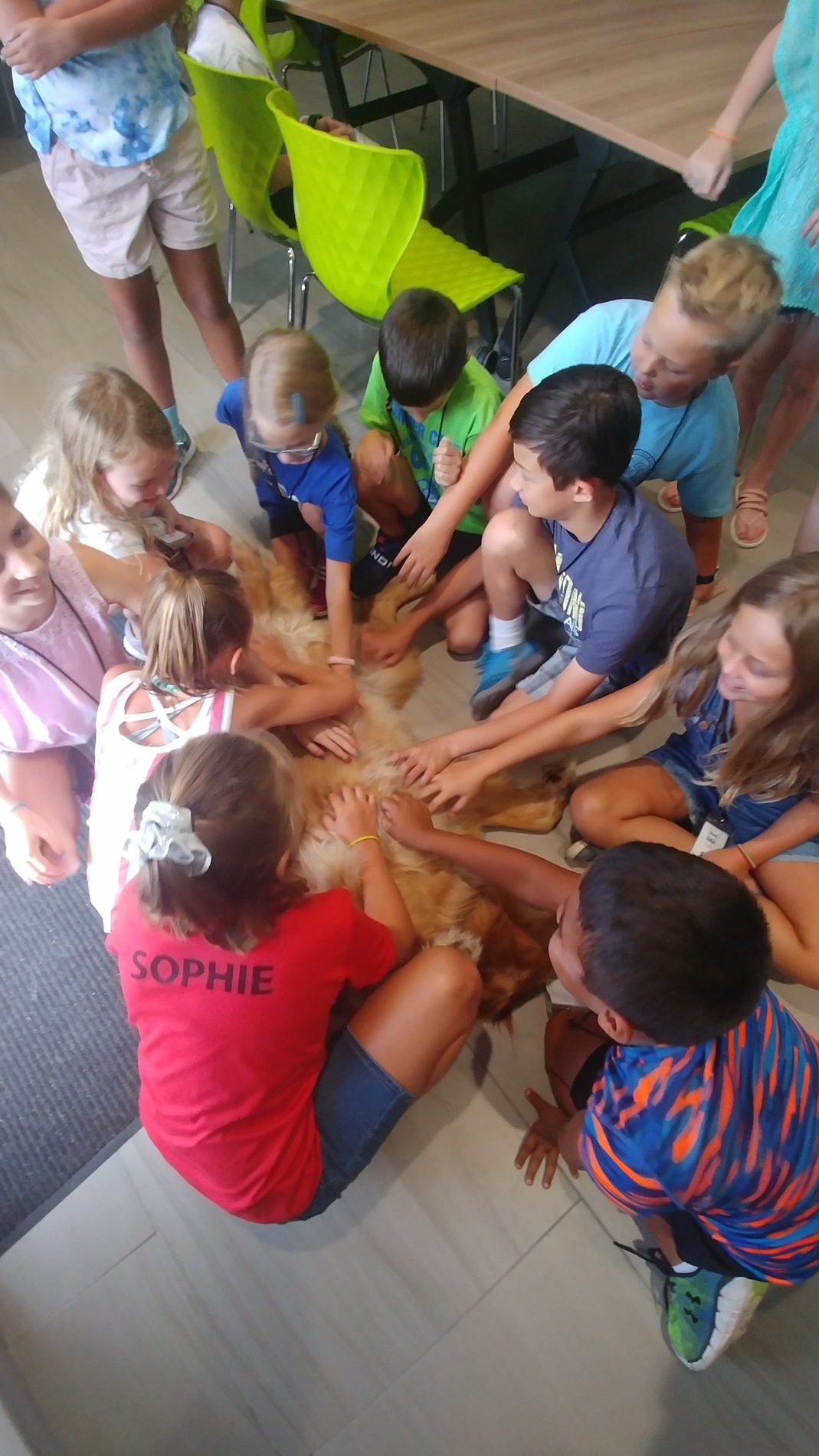 Summer Animal Camp at Halifax Humane Society featuring dogs, cats