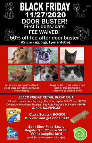 Black Friday Specials Door Buster the first 5 dogs and 5 cats