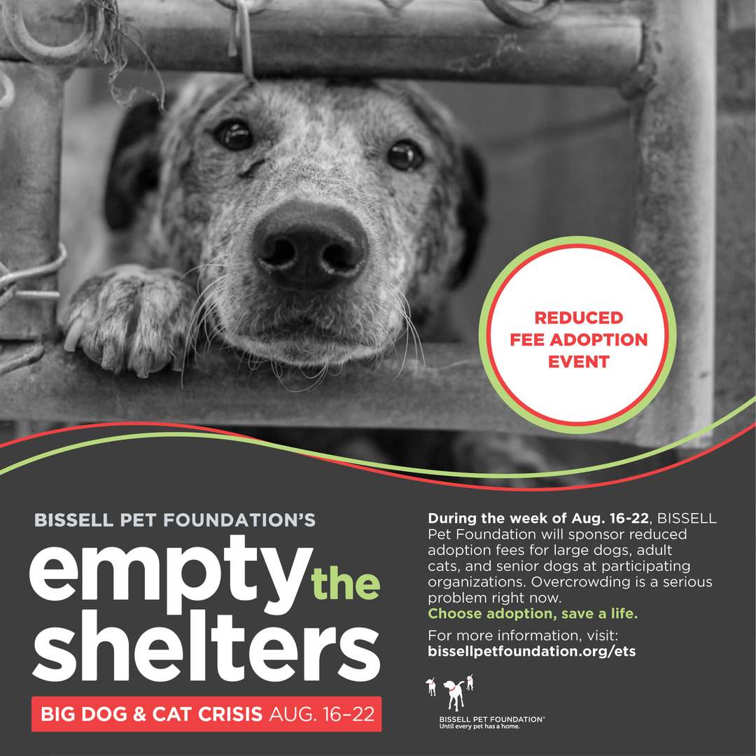 Bissell Empty the Shelters