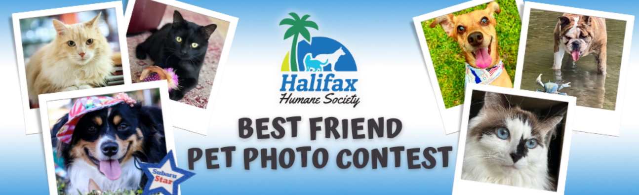 Halifax Humane Society s 2024 Best Friend Pet Photo Contest